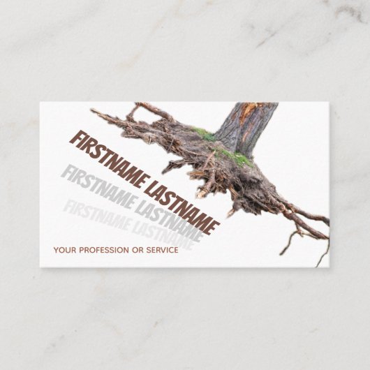 Verwijdering van vallende boomwortel en opgraving visitekaartje (Voorkant)