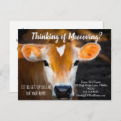 Verwijzing boerderij koe onroerend goed marketing briefkaart (Voorkant / Achterkant)