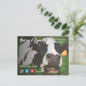 Verwijzing boerderij koe onroerend goed marketing briefkaart (Staand voorkant)