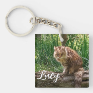 Verwilderde Kat Foto / Kat Liefhebber Sleutelhanger