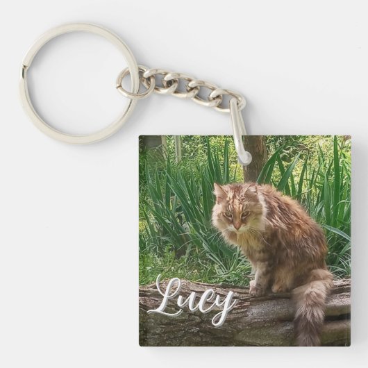 Verwilderde Kat Foto / Kat Liefhebber Sleutelhanger (voorkant)