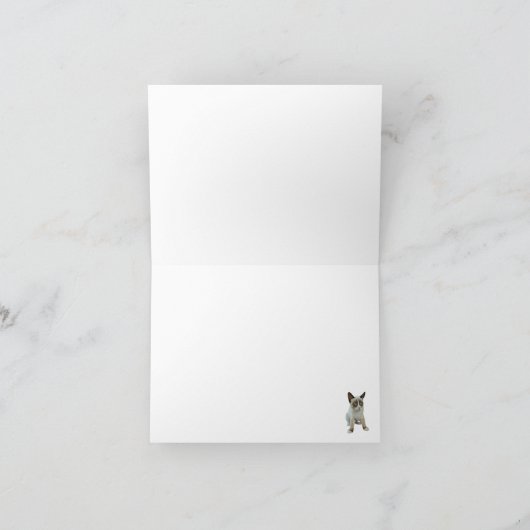 Verwilderde kat gevouwen dank u kaart (Binnen)