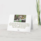 Verwilderde kat zit in het bos kaart (Achterkant)