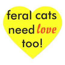Verwilderde katten hebben ook liefde nodig!