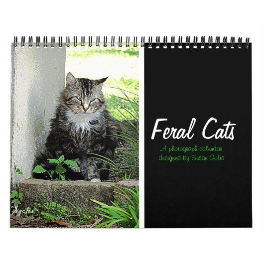 Verwilderde kattenfotokalender kalender (Hoes)