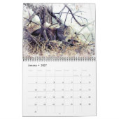 Verwilderde kattenfotokalender kalender (Jan 2027)