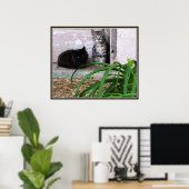 Verwilderde Kittens Poster (Thuiskantoor)