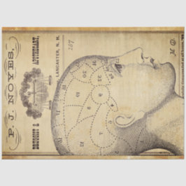 Verwisselingspapier voor apothekersmeubelen tissuepapier