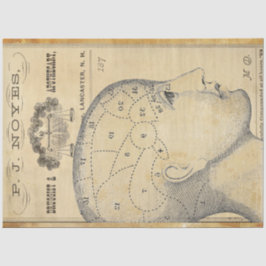 Verwisselingspapier voor apothekersmeubelen tissuepapier