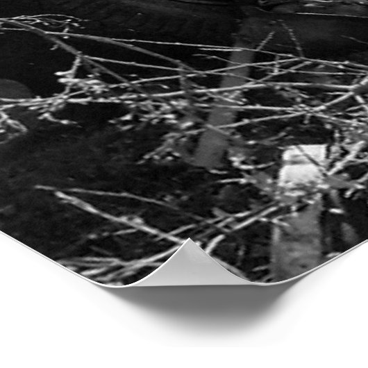 Verwoeste Duitsers in Chambois Frankrijk Tweede We Poster (Hoek)