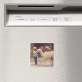 Verwoeste 'um bijtende lama magneet (Insitu (Vaatwasser))