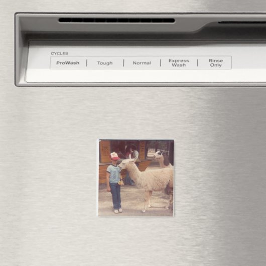 Verwoeste 'um bijtende lama magneet (Insitu (Vaatwasser))