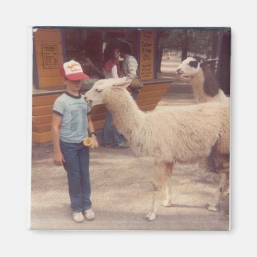 Verwoeste 'um bijtende lama magneet (Voorkant)