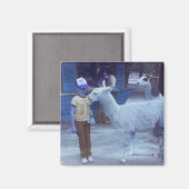 Verwoeste 'Um Biting Llama "Hues" magneet (Voorkant / Achterkant)