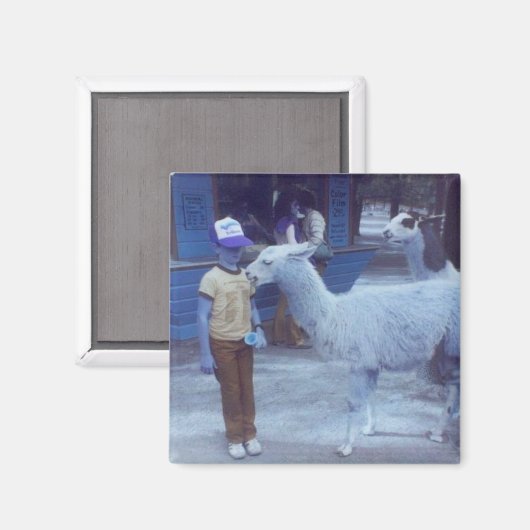 Verwoeste 'Um Biting Llama "Hues" magneet (Voorkant / Achterkant)