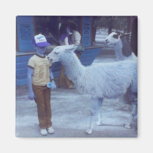 Verwoeste 'Um Biting Llama "Hues" magneet