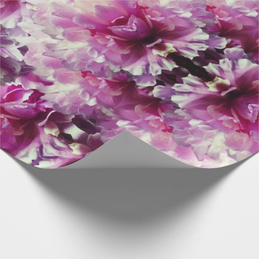 Verwondering in roze inpakpapier (Hoek)