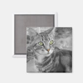 Verwondering Magneet (Voorkant / Achterkant)