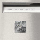 Verwondering Magneet (Insitu (Vaatwasser))