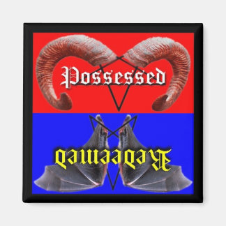 Verworven/bezeten vaatwasser magneet