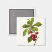 'Very Cherry' magneet (Voorkant / Achterkant)