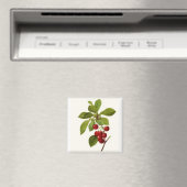 'Very Cherry' magneet (Insitu (Vaatwasser))