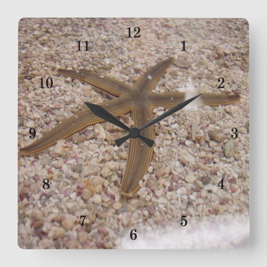 Very Cool Starfish Wall Clock Vierkante Klok (Voorkant)