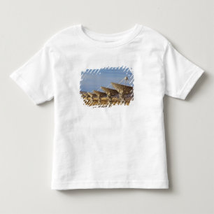 Very Large Array aka National Radio Astronomy Kinder Shirts