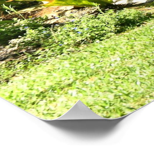 Verzachten Poster (Hoek)