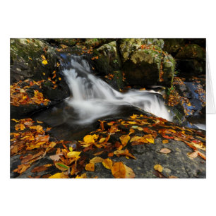 Verzachten water