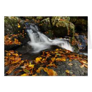 Verzachten water
