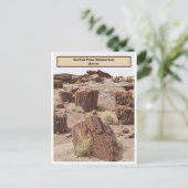 Verzakt bos, AZ, verticaal Briefkaart (Staand voorkant)