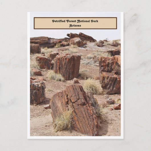 Verzakt bos, AZ, verticaal Briefkaart (Voorkant)