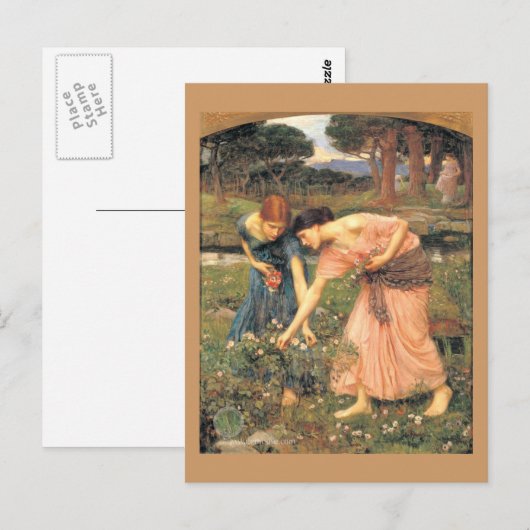 Verzamel Rozen terwijl je mei kunt - vrouwen die b Briefkaart (Voorkant / Achterkant)