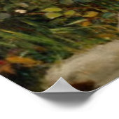 Verzamel Ye Rosebuds in mei - 1909 Poster (Hoek)