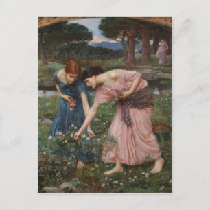 Verzamel Ye Rosebuds terwijl je mei Briefkaart