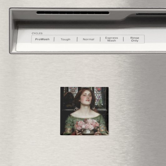 Verzamel Ye Rosebuds terwijl je mei Magneet (Insitu (Vaatwasser))