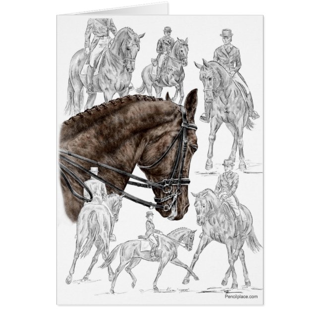 Verzamelde Dressage Horses FEI (Voorkant)