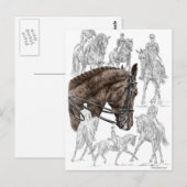 Verzamelde Dressage Horses FEI Briefkaart (Voorkant / Achterkant)