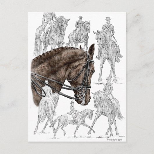 Verzamelde Dressage Horses FEI Briefkaart (Voorkant)