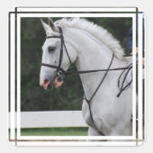 Verzamelde Witte Paard Stickers (Voorkant)