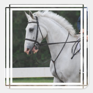 Verzamelde Witte Paard Stickers