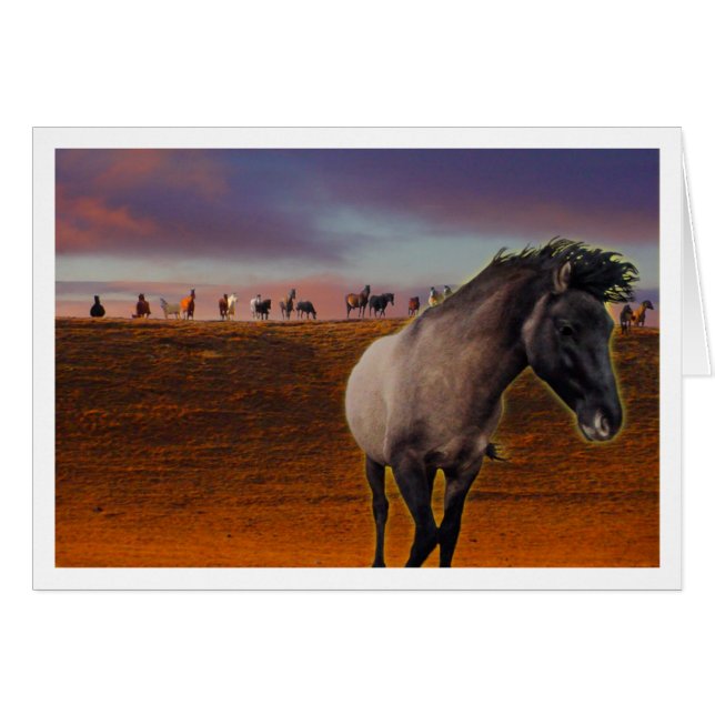 Verzamelen (Voorkant Horizontaal)