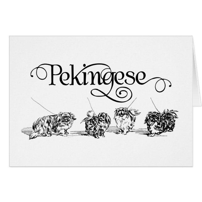 Verzamelen (Voorkant Horizontaal)