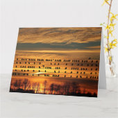 Verzamelen van bloedingen kaart (Gele Bloem)