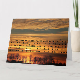 Verzamelen van bloedingen kaart