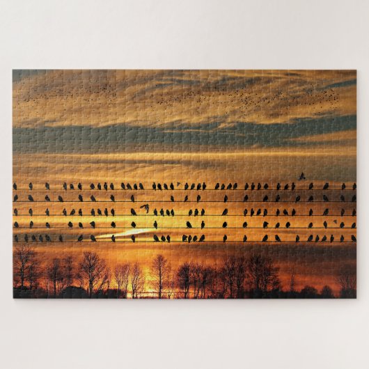 Verzamelen van bloedingen legpuzzel (Horizontaal)