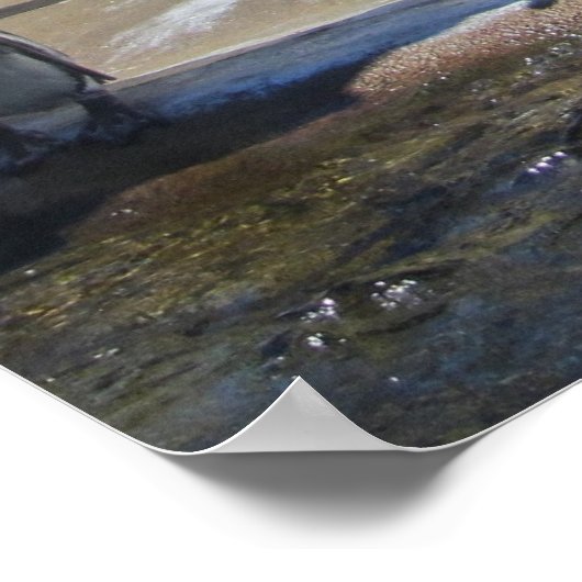 Verzamelen van de pinguïns poster (Hoek)