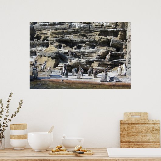 Verzamelen van de pinguïns poster (Keuken)