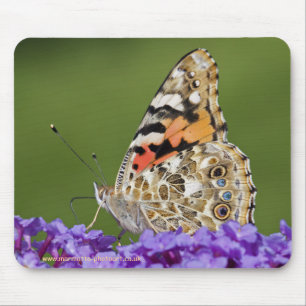 Verzamelen van nectar muismat